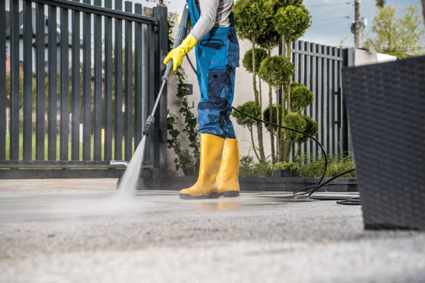 Best Sidewalk and Walkway Cleaning  in North Shore, CA
